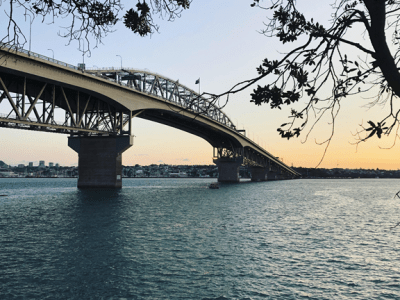 I Finished the&nbsp;Book